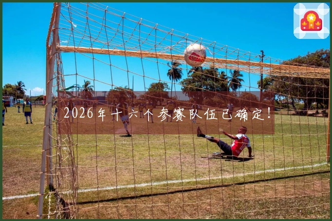 2026年十六个参赛队伍已确定！