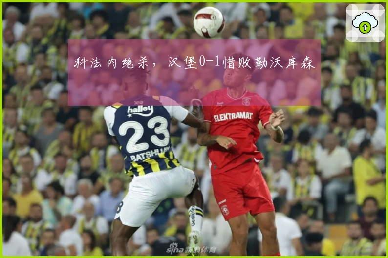科法内绝杀，汉堡0-1惜败勒沃库森
