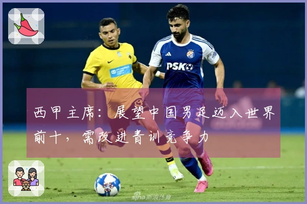西甲主席：展望中国男足迈入世界前十，需改进青训竞争力